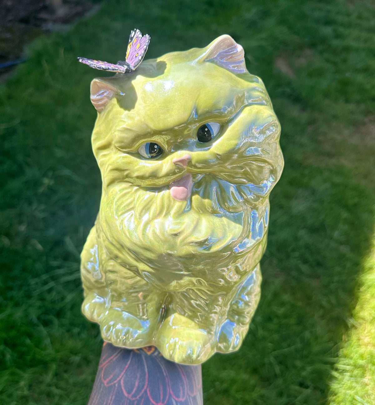 Derpy Cat