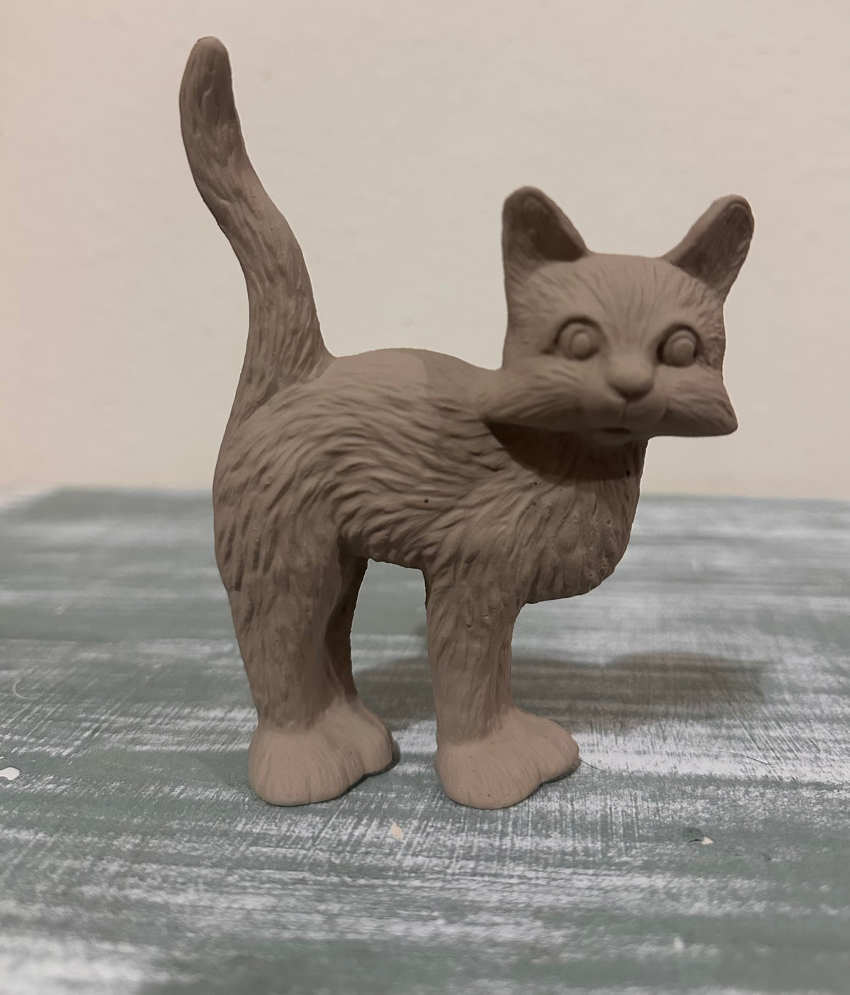 Spooky Kitty Cat
